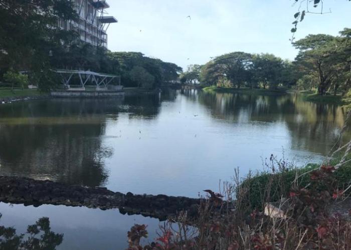 ADC Condo 1 Bedroom Unit at Pico de Loro