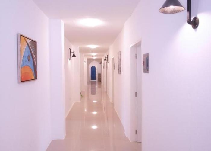D´Gecko Hotel