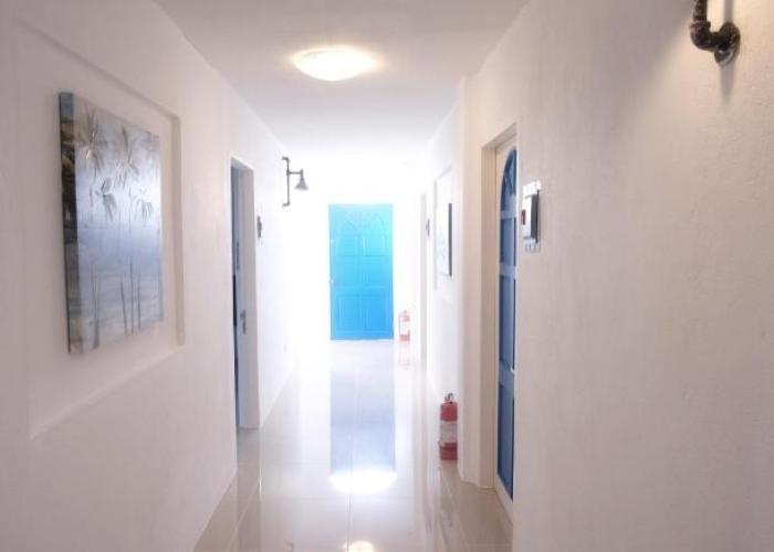 D´Gecko Hotel