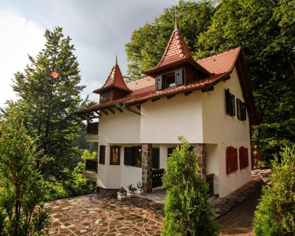 фото Vila Vista Sovata