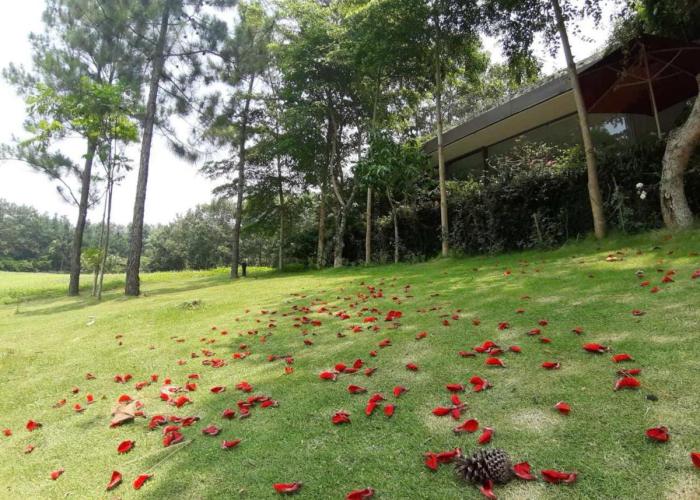 Flamingo Villa Happy