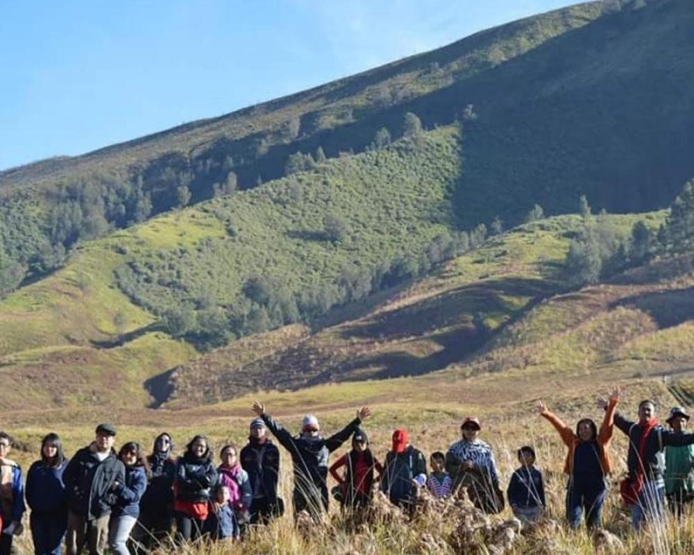 фото Ecobromo