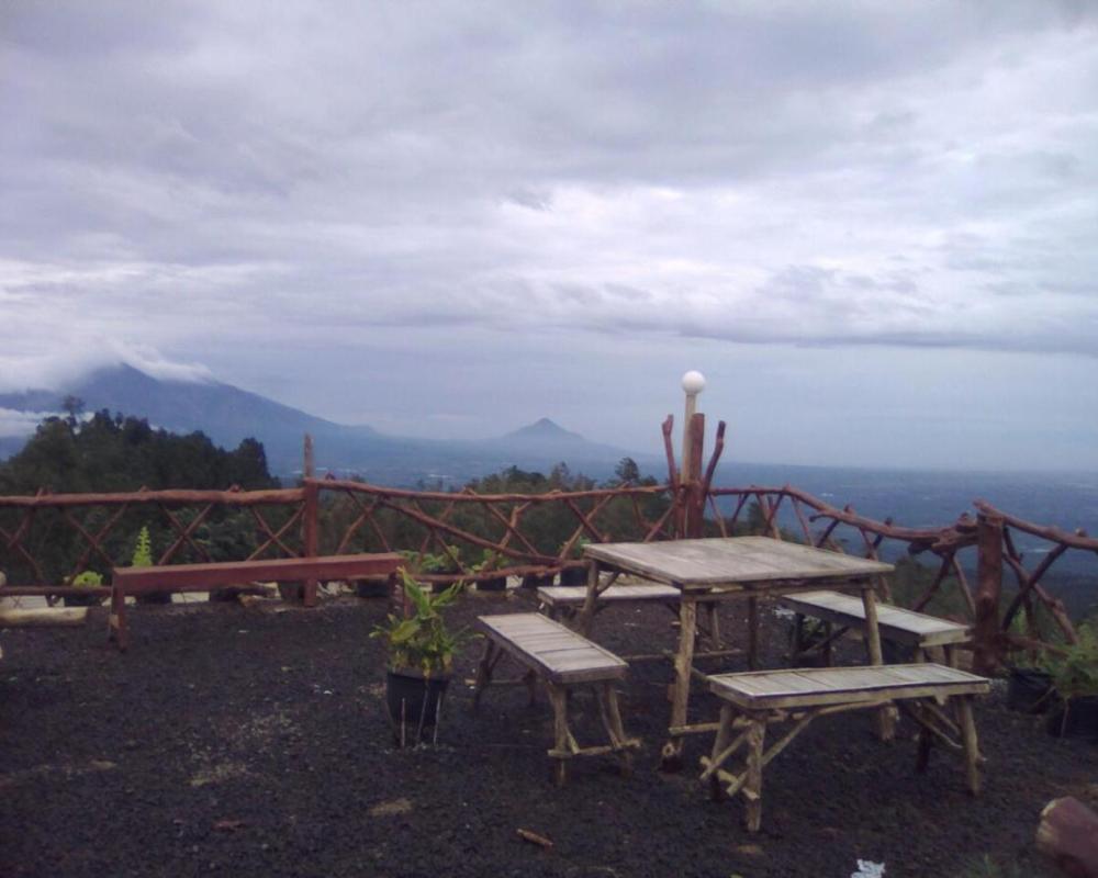 фото Ecobromo