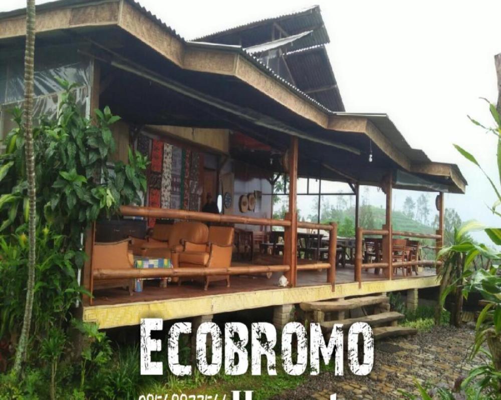 фото Ecobromo