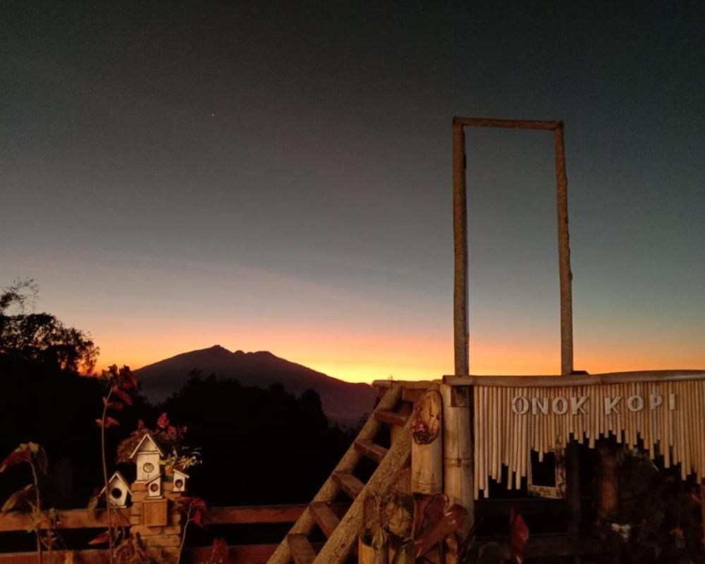 фото Ecobromo