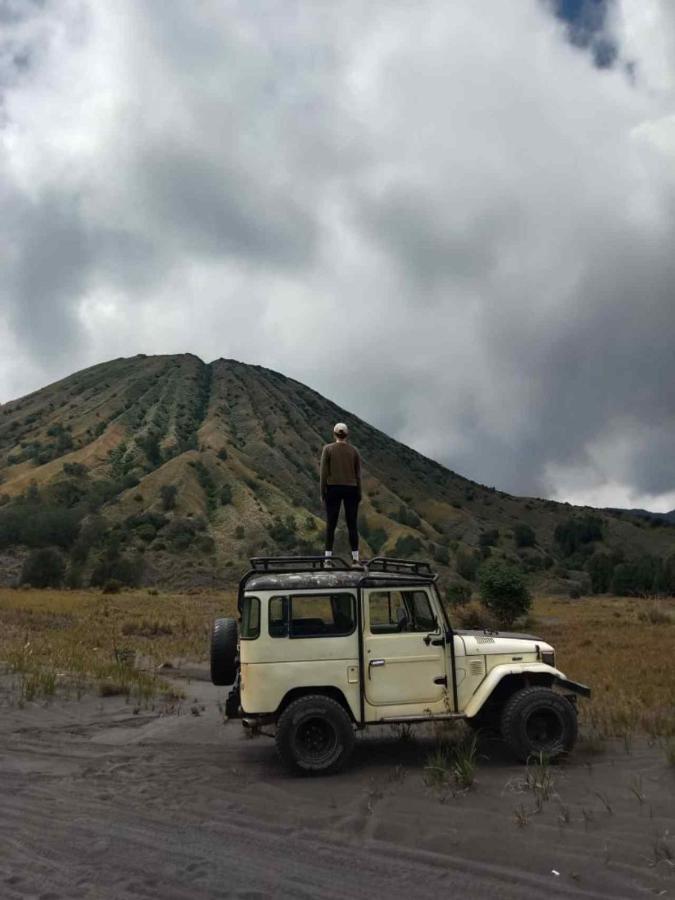 фото Ecobromo