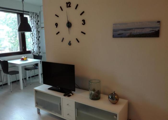 A lovely one-room apartment near the city centre.