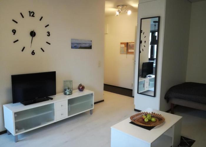 A lovely one-room apartment near the city centre.