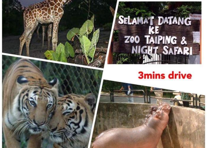 Taiping Homestay