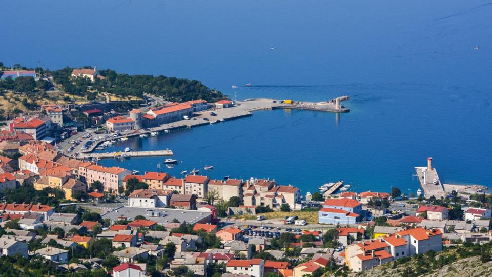 фото Dalibor