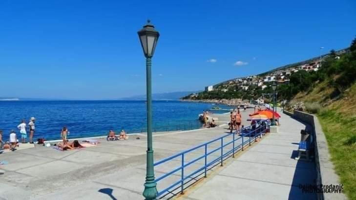 фото Dalibor