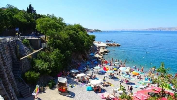 фото Dalibor