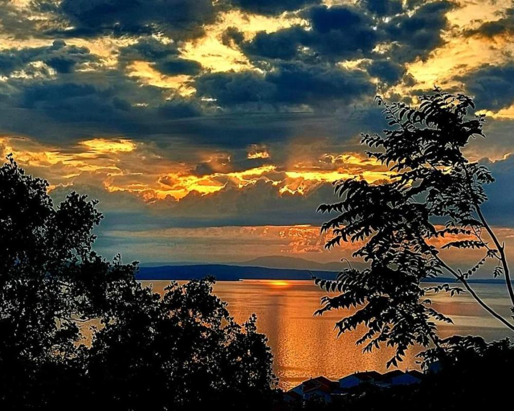 фото Dalibor