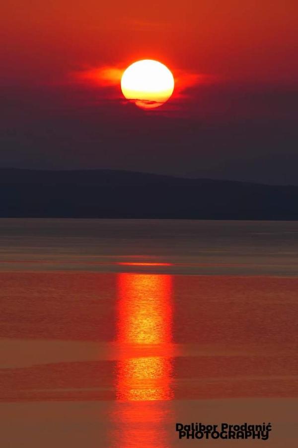 фото Dalibor
