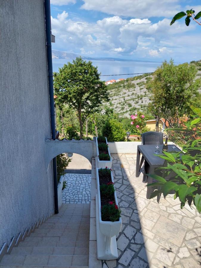 фото Dalibor