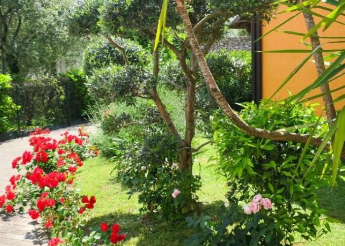 Appartamento A due passi dal lago