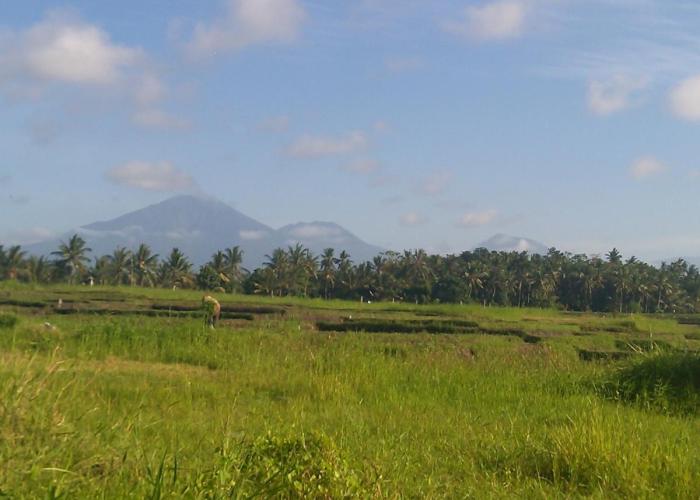 Ibu Ana Homestay