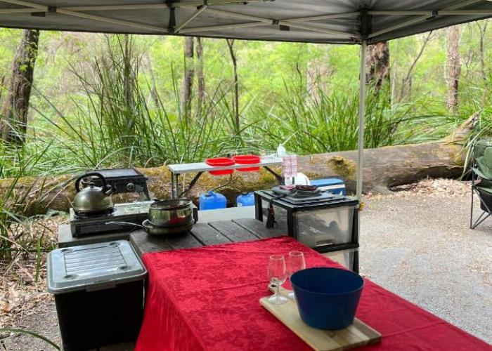 WA Wilderness - one step from nature