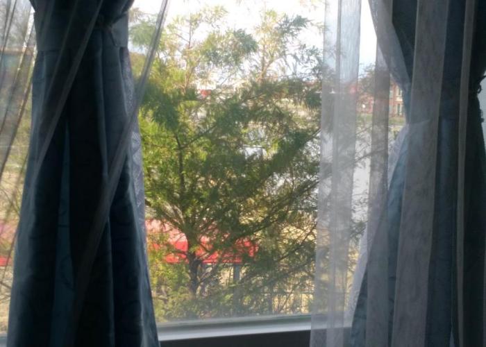 Breadtree Homestay