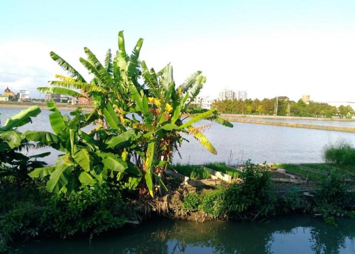 Breadtree Homestay