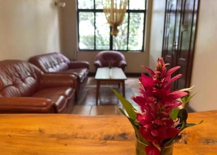 Olivia Guesthouse