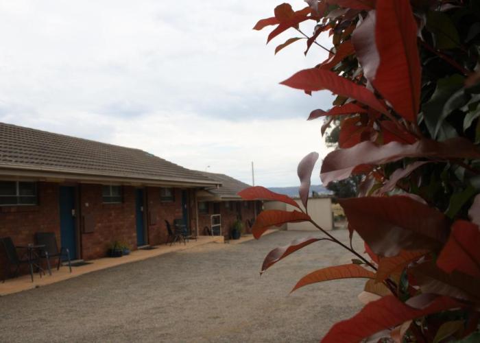 Isis Motel Scone