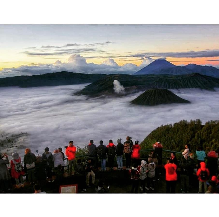 фото Bromo Backpacker Tosari