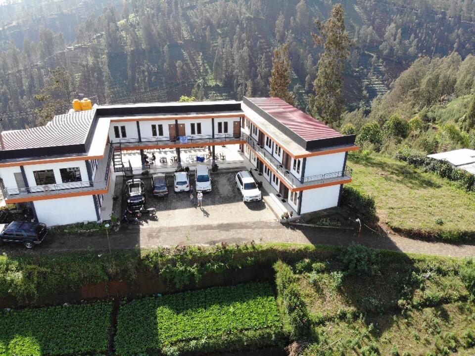 фото Bromo Backpacker Tosari