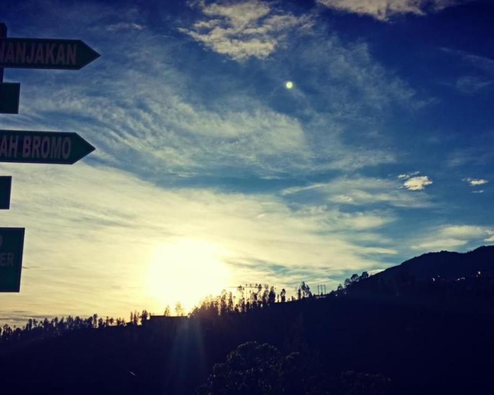 фото Bromo Backpacker Tosari