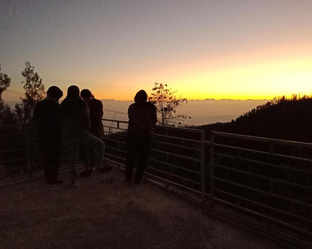 фото Bromo Backpacker Tosari