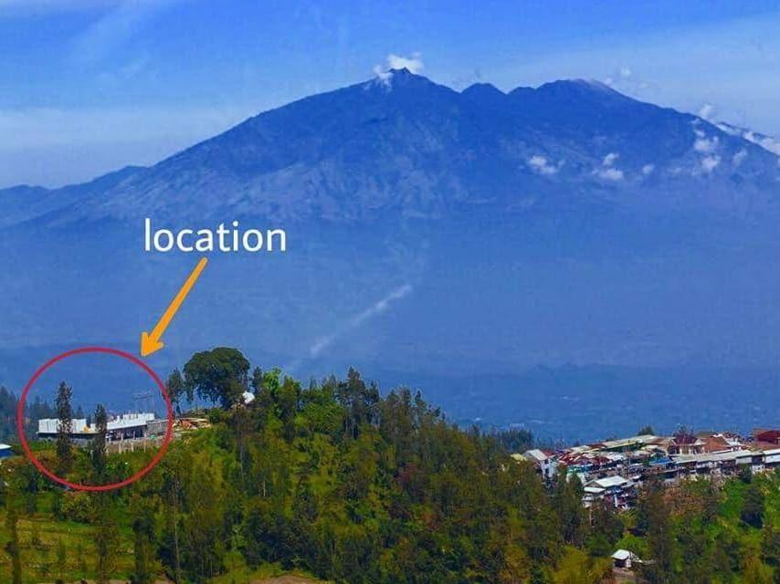 фото Bromo Backpacker Tosari