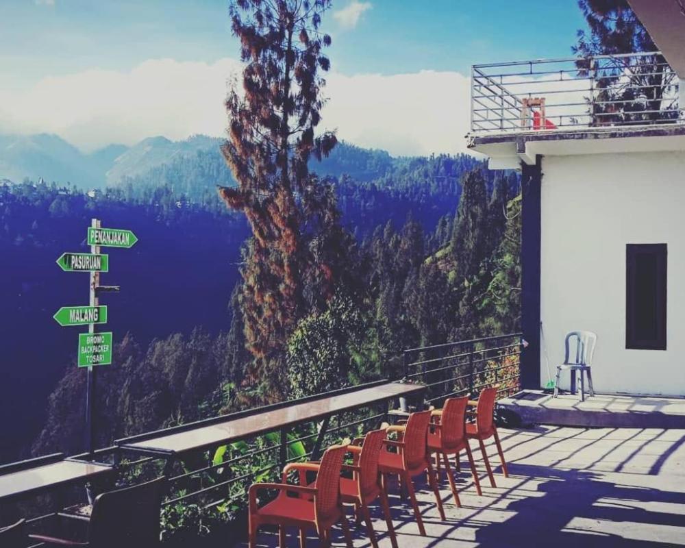 фото Bromo Backpacker Tosari