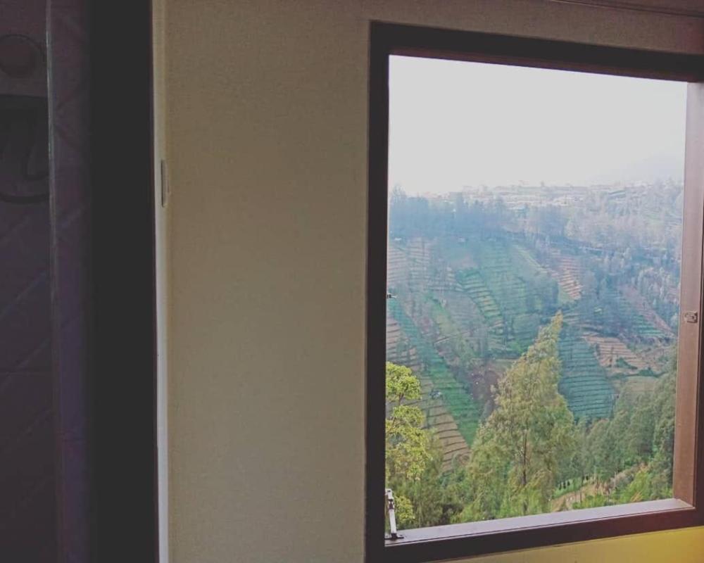 фото Bromo Backpacker Tosari