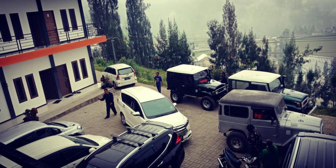 фото Bromo Backpacker Tosari