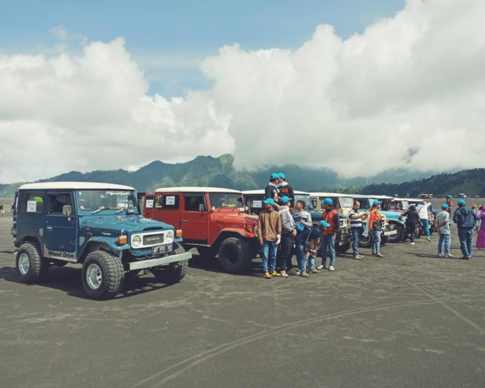 фото Bromo Backpacker Tosari