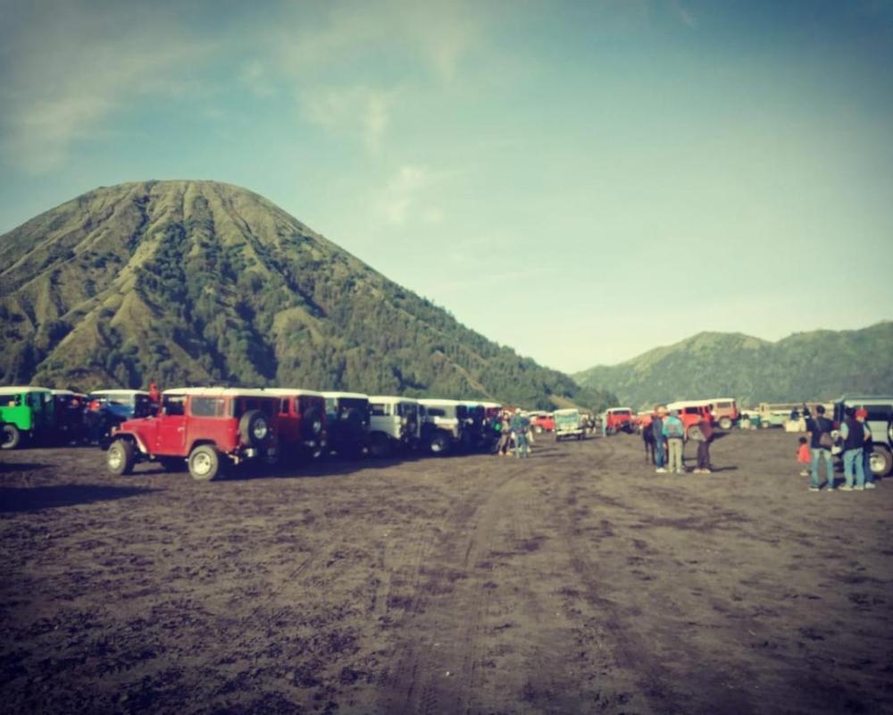 фото Bromo Backpacker Tosari