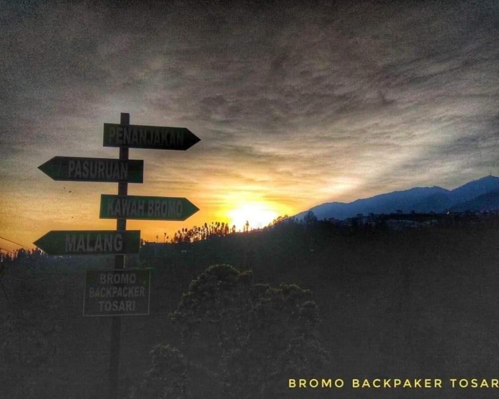 фото Bromo Backpacker Tosari