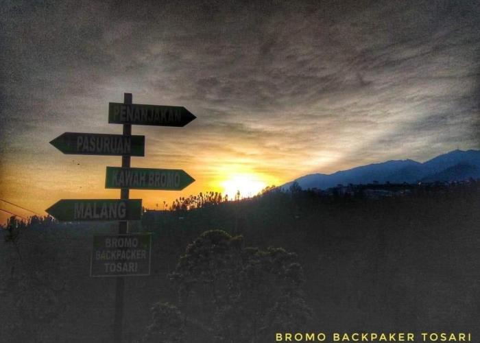 Bromo Backpacker Tosari