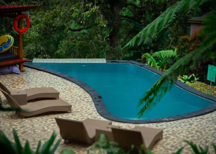 Bali Jungle Camping by Amerta Experience