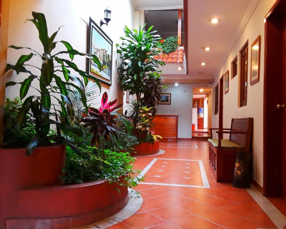 фото Posada Todos Santos