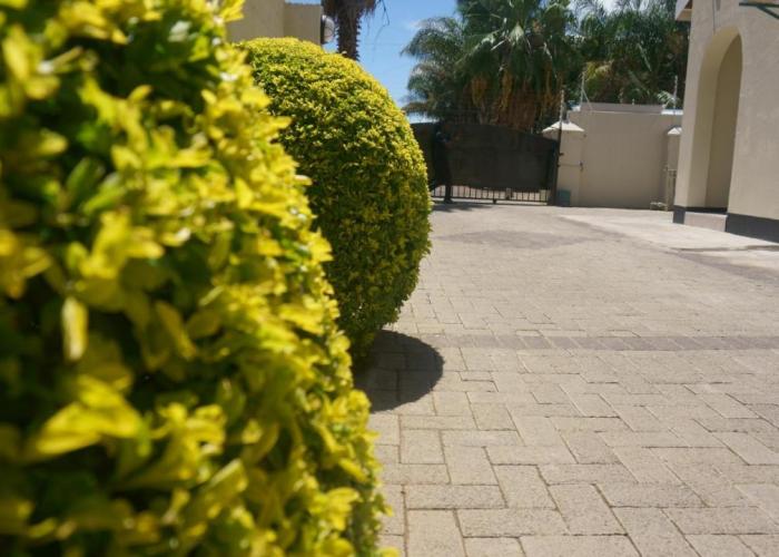 Bridgeville Guest House( Pty) Ltd