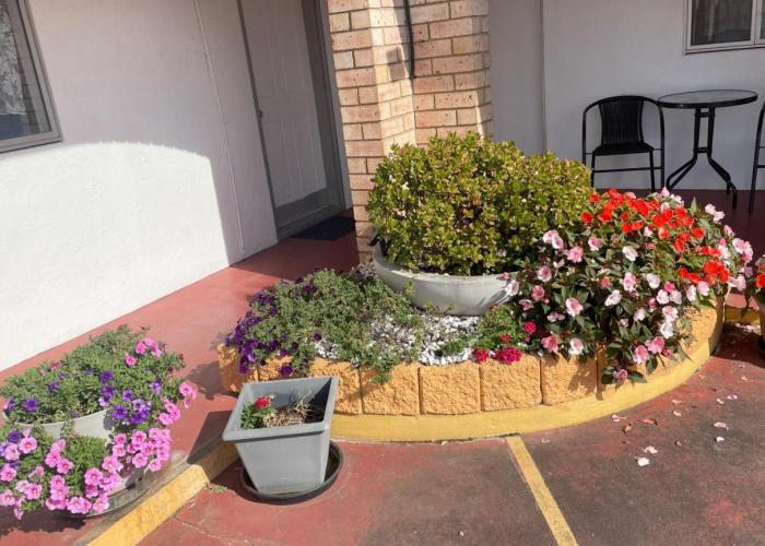 Taree Lodge Motel