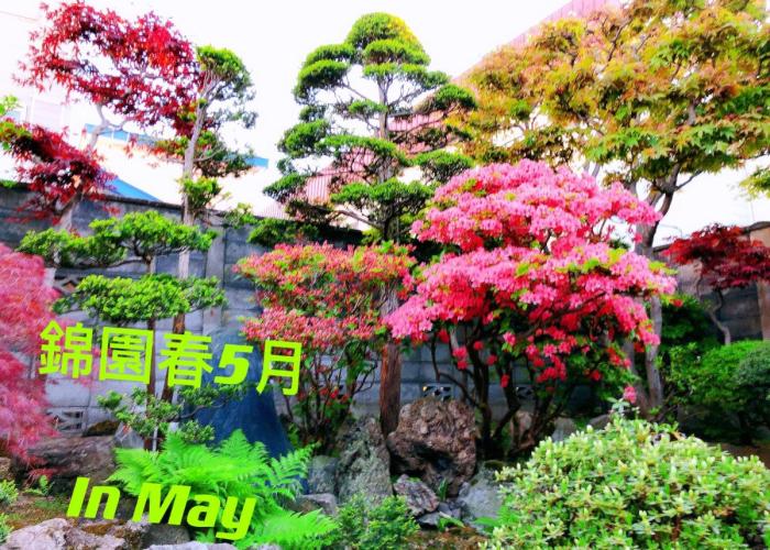 Bed and breakfasts Otarunishikien