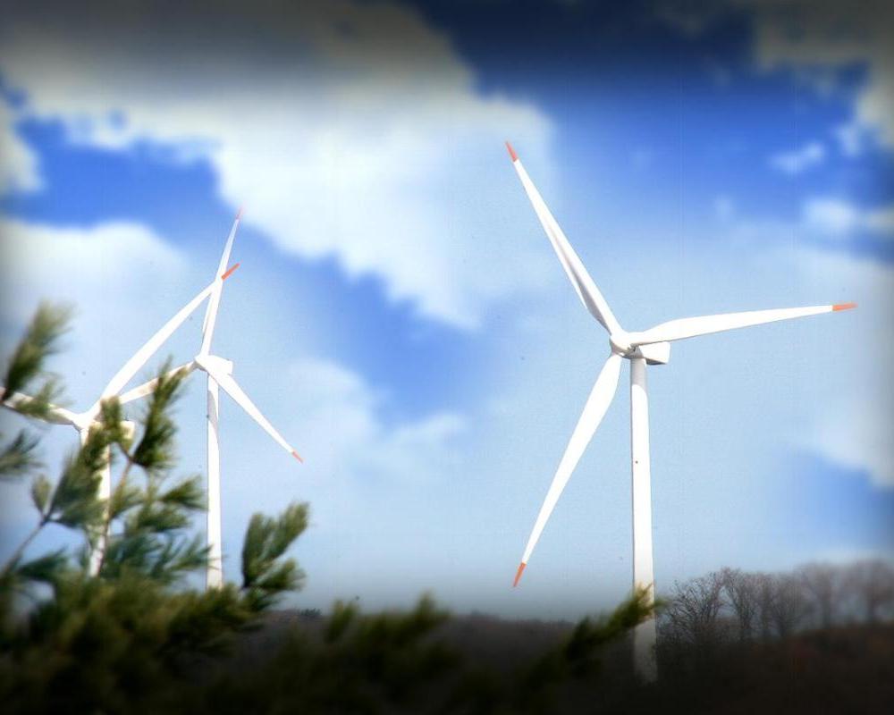 фото Pungcha & Herb Pension