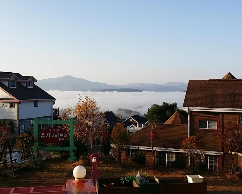 фото Pungcha & Herb Pension