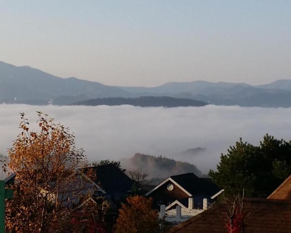 фото Pungcha & Herb Pension