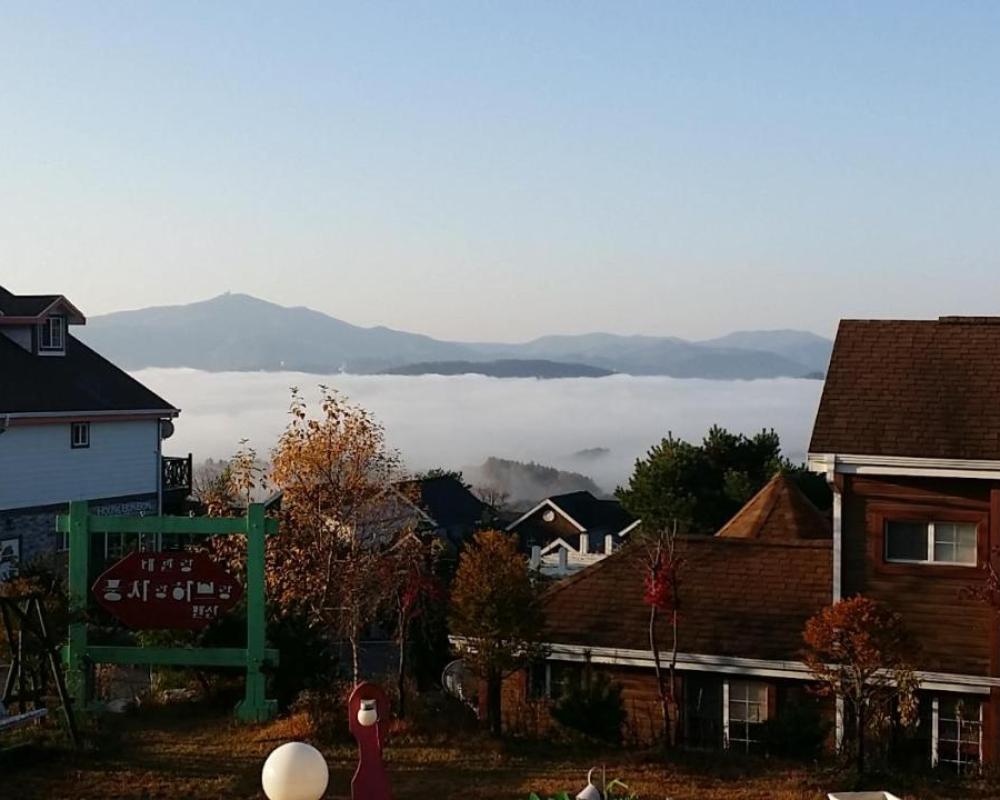 фото Pungcha & Herb Pension