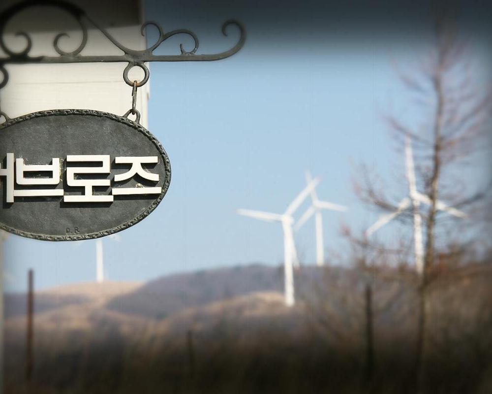 фото Pungcha & Herb Pension