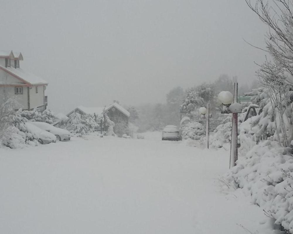 фото Pungcha & Herb Pension