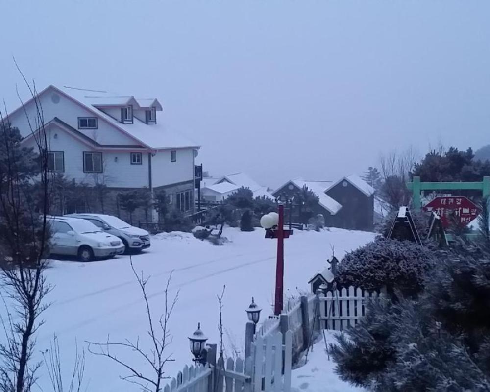 фото Pungcha & Herb Pension